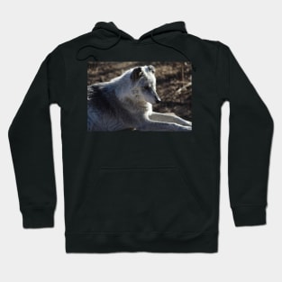 Wolf Hoodie